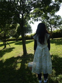 ���i�C���[�W5