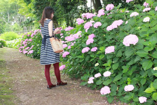 ���i�C���[�W5