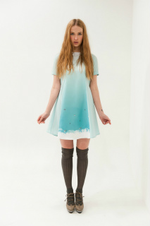 ���i�C���[�W