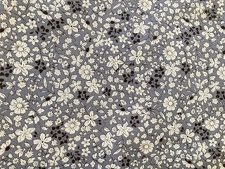 ���i�C���[�W2